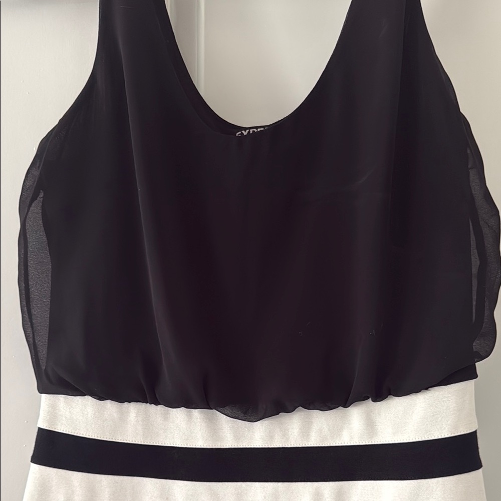 Express Dress - Picture 2 of 3